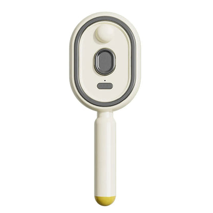 Multi functional massage comb Electric Steam Hair Brush USB-C Charging Spray Steam Smoothing Straightener Anti-Frizz Styling Com